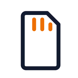 MEMORY CARD Icon