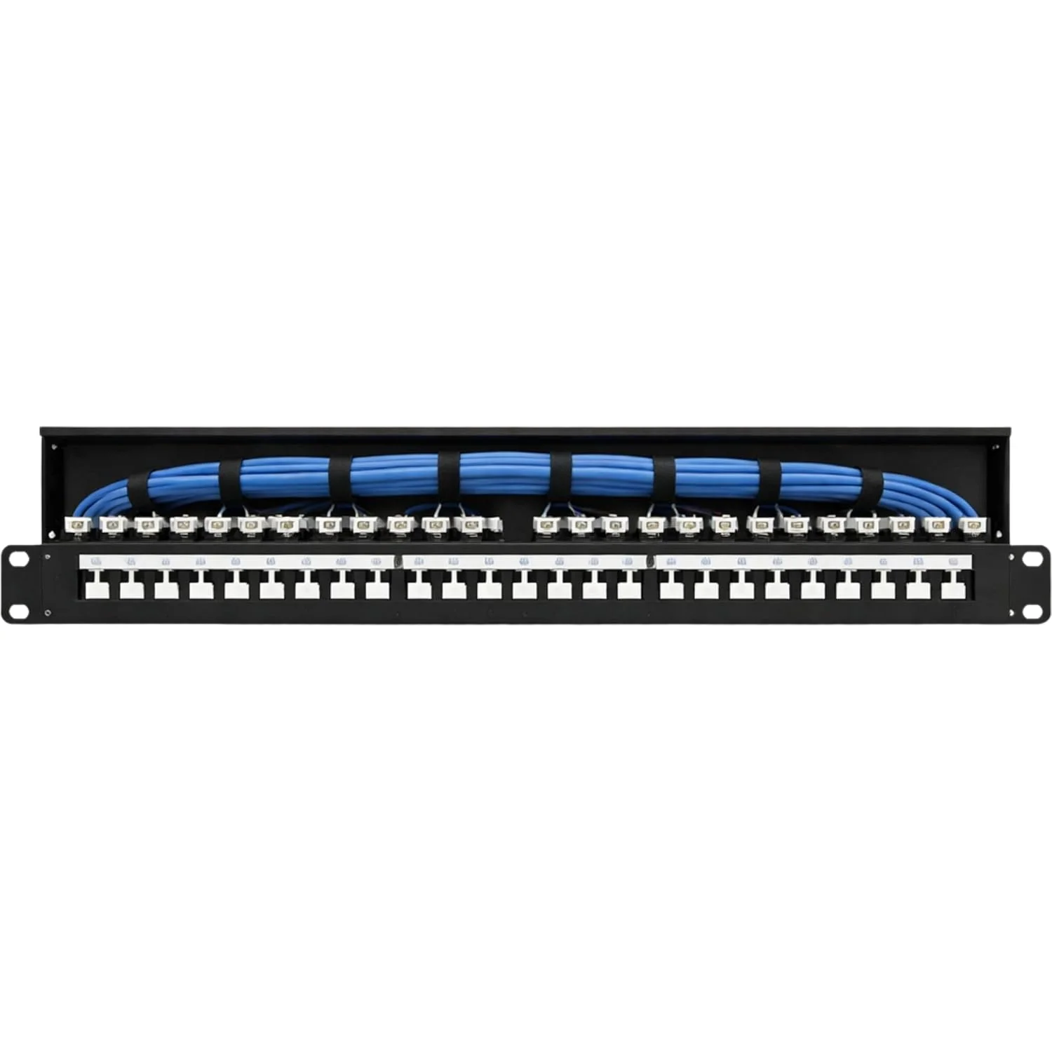 Trionet 1U 19 Inch 24-Port Blank UTP Economy Patch Panel With Rear Cable Management (TN03BPP02+UTP24)